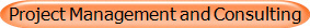 Project Management and Consulting